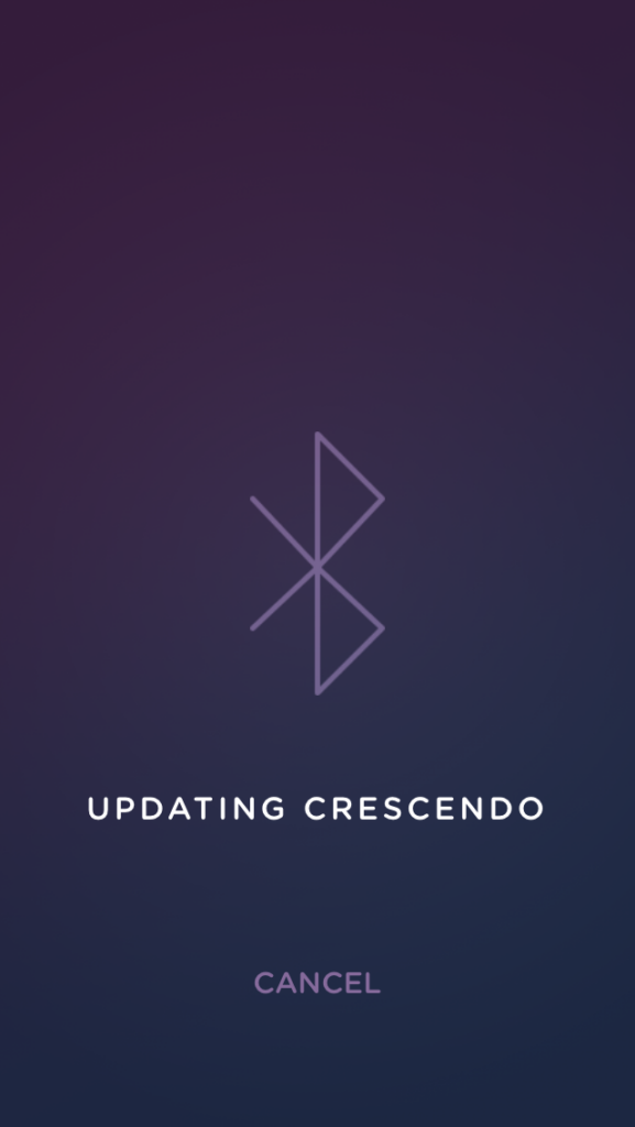 Screenshot of mystery app updating